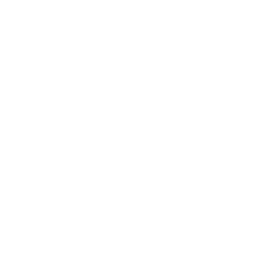 Cataclysmic Variable