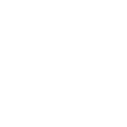 Die Austreibung des Anderen